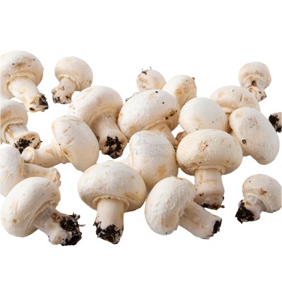 Шампиньоны свежие 500 г - купить в Воломе